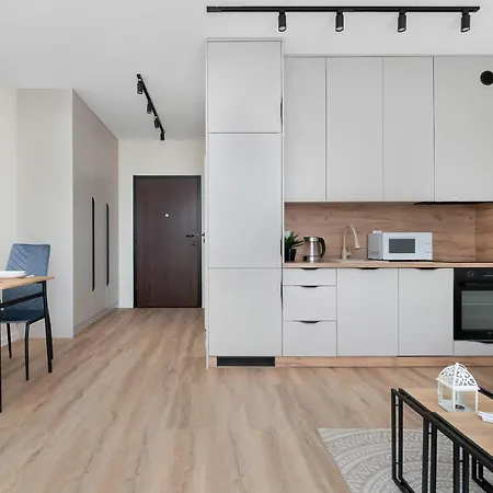 Air-conditioned With A Balcony In The Centre By Renters Łódź